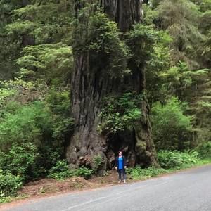 Meet your Posher, Shellie